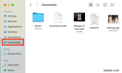 MacのSafariでダウンロードしたファイルを見つける場所とそれらを管理する方法 