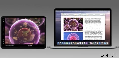 iPadをサイドカー付きの2台目のMacモニターとして使用する方法 