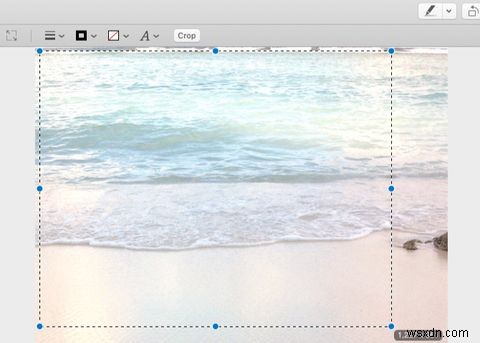 プレビューアプリを使用してMacで写真を編集する方法 