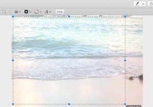 プレビューアプリを使用してMacで写真を編集する方法 