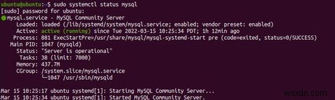 UbuntuにMySQLをインストールして設定する方法 