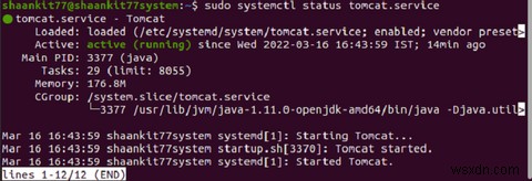 Ubuntu20.04にApacheTomcat10をインストールする方法 