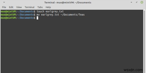 MvコマンドでLinuxファイルを移動する方法 