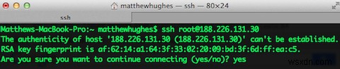 SSHのみのWebホスティングにサインアップしましたか？心配しないでください-任意のWebソフトウェアを簡単にインストールできます 