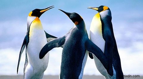 Linuxを本当に信頼できるでしょうか？ 