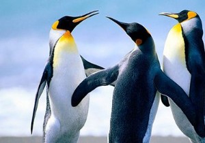 Linuxを本当に信頼できるでしょうか？ 