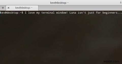 美しく、使いやすいLinuxディストリビューションをお探しですか？ ElementaryOSLunaをお試しください 