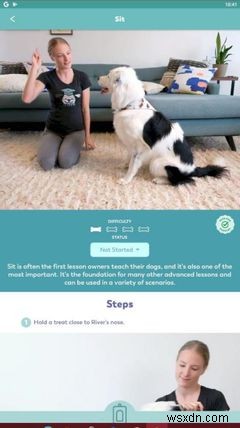 AndroidとiPhoneのための5つの最高の犬のトレーニングアプリ 