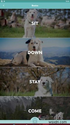 AndroidとiPhoneのための5つの最高の犬のトレーニングアプリ 