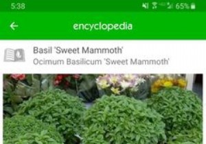 Android・iPhone対応！おすすめガーデニングアプリ7選