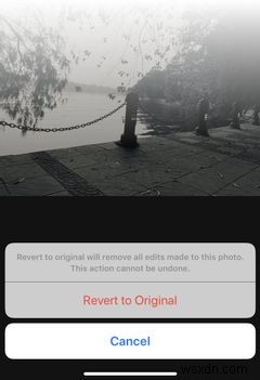 iPhoneの写真にフィルターを簡単に追加する方法 