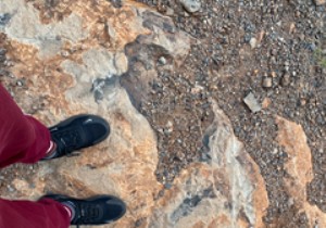 iOS 15で写真の撮影日時・位置情報を編集する方法