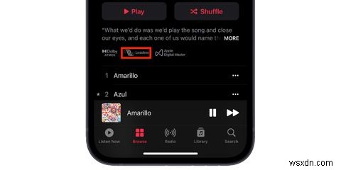 AppleMusicでロスレスオーディオを聴く方法 