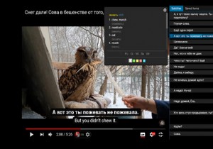 新しい言語の学習に苦戦中？語学習得を加速させるおすすめChrome拡張機能5選