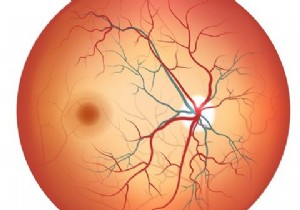 Retina / Irisスキャナーは次のレベルのモバイルセキュリティですか？ 
