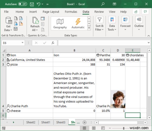 MicrosoftExcelで自動データ型機能を使用する方法 