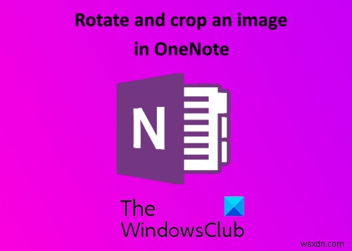 MicrosoftOneNoteで画像を回転およびトリミングする方法 