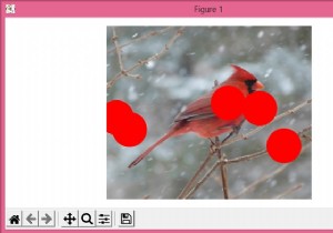 MatplotlibとNumPyを使用して画像に円を描く 