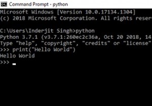 Pythonプログラムを実行する方法は？ 
