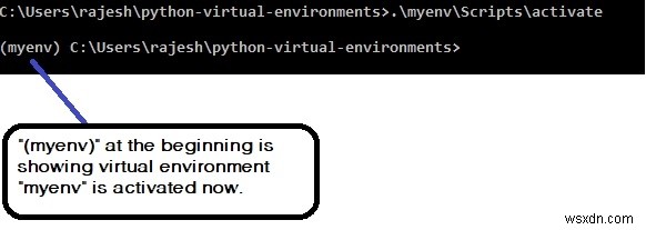 Python仮想環境 