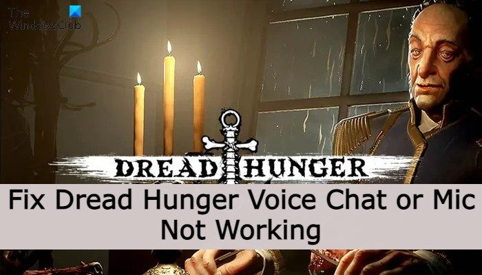 DreadHungerのボイスチャットまたはマイクが機能しない問題を修正する 