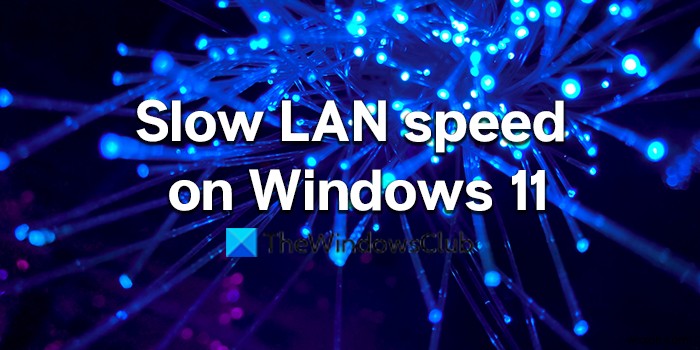 Windows11/10コンピューターのLAN速度が遅い問題を修正 