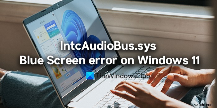 Windows11でのIntcAudioBus.sysブルースクリーンエラーを修正 