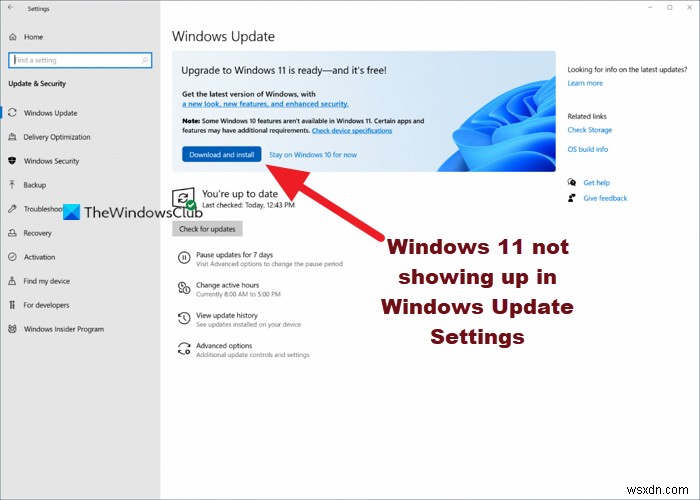 Windows11がWindowsUpdate設定に表示されない 