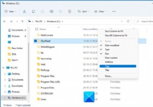 Windows 11/10のエクスプローラーですべてのフォルダーに列を永続的に追加する方法