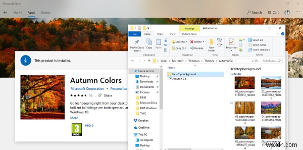Windows 11/10はテーマをどこに保存しますか？ 