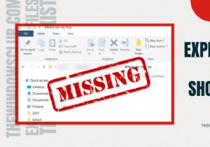 Windows 11/10に存在するにもかかわらず、ファイルエクスプローラーにファイルが表示されない 