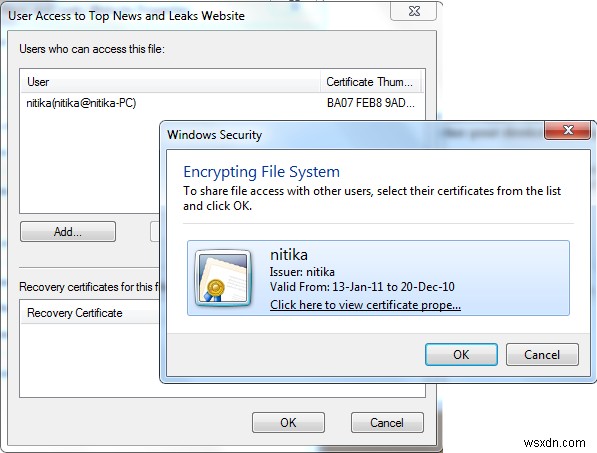Windows11/10でアクセスが拒否された場合に暗号化されたファイルを開く方法 