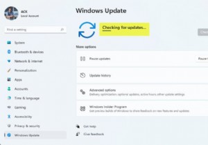 Windows11/10で永遠にかかる更新をチェックする 