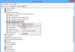 Windows11/10でタッチスクリーンを無効にする方法 