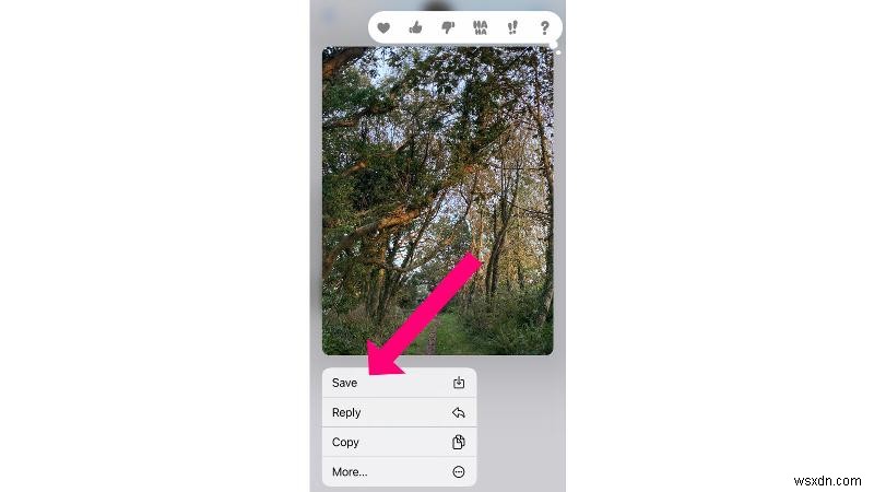 iPhoneのメッセージから写真を保存する方法 