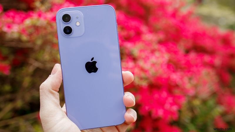 あなたが持っているiPhoneモデルを識別する方法 