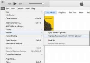 iPodからiPhone 12/iPhone 11へ音楽を転送する3つの方法【iTunes・PCなしでもOK】
