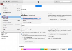 iPhoneからコンピュータに無料で音楽を転送する方法 