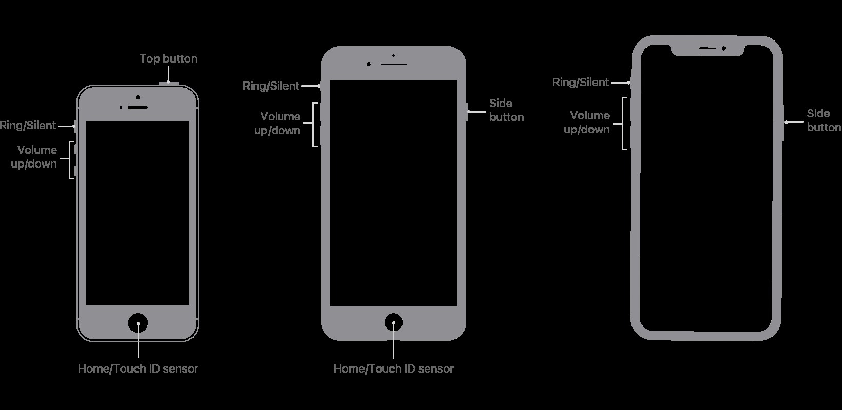 iPhoneとiPadでスクリーンショットを撮るための初心者ガイド 