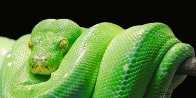 MacでPythonスクリプトを実行する方法 