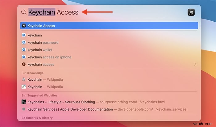 macOS、iPadOS、iOSでiCloudキーチェーンに保存されているパスワードを表示する方法 