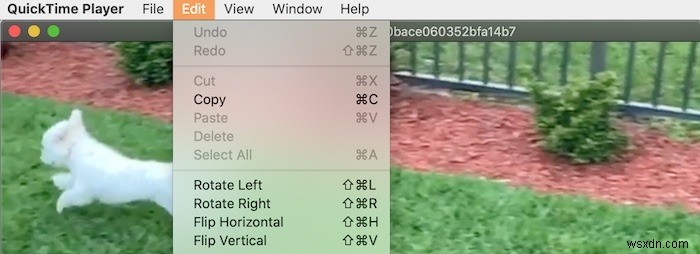 MacでQuickTimeを使ってムービーを編集する方法 