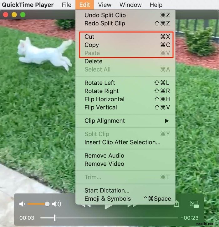 MacでQuickTimeを使ってムービーを編集する方法 