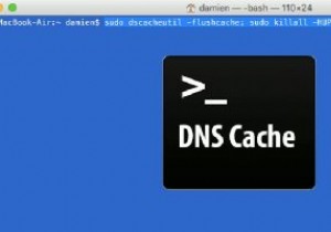 MacでDNSキャッシュをフラッシュする方法 