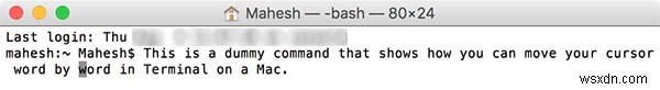 Macのターミナルでカーソルを単語ごとに移動する方法 