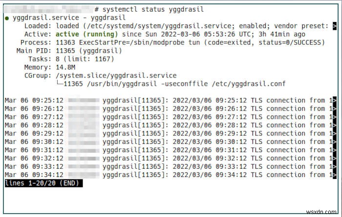 Yggdrasilネットワークとは何ですか？それをインストールする方法 