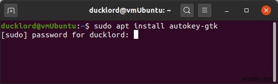 Linuxでターミナルの問題を入力できない問題を修正する方法 