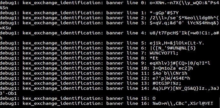 Linuxサーバーでハッカーを捕まえるためのSSHハニーポットを作成する方法 