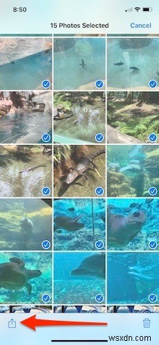 iPhoneで写真を整理する方法 