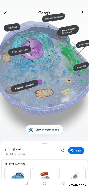 Googleの3D動物をリビングルームに持ち込む方法 